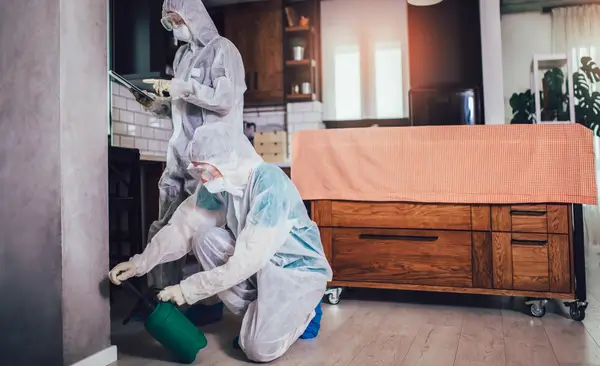 termite-protection-for-homes-in-australia.webp