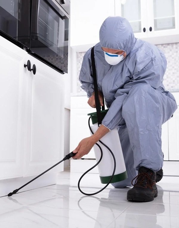 Pest Control Belconnen.