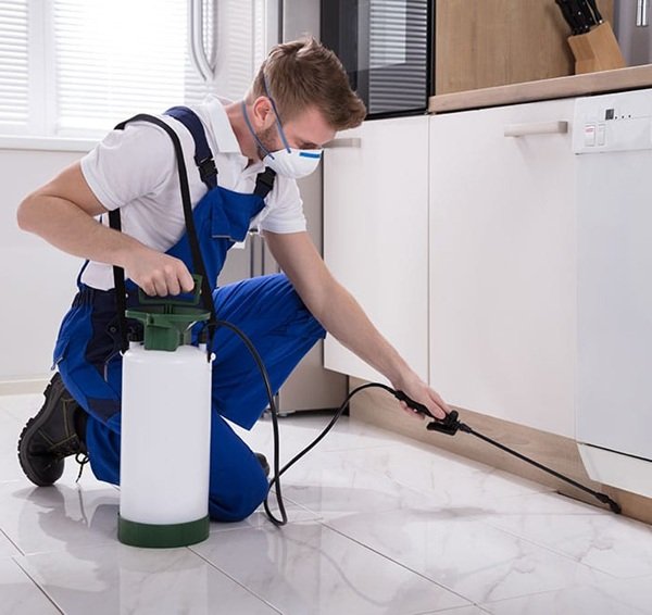 Pest Control Belconnen