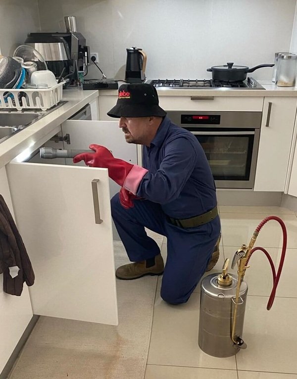 Possum Removal-Canberra