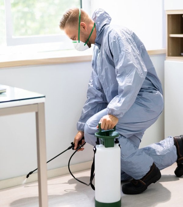 Termite & Pest Control