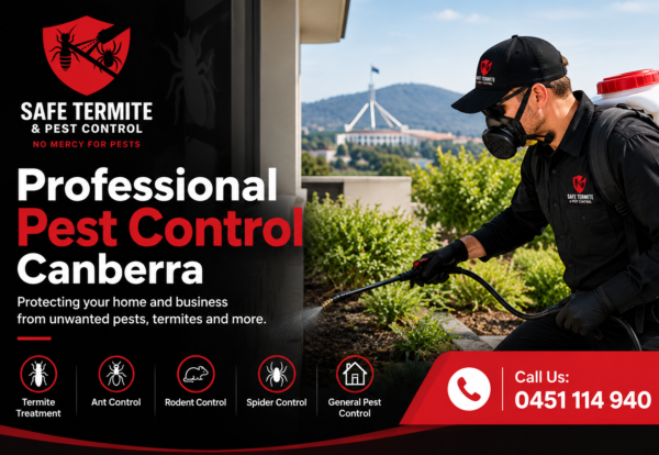 Professional pest control services in Canberra by Safe Termite & Pest Control